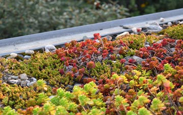 the cost of Lower Bearwood green roof installation