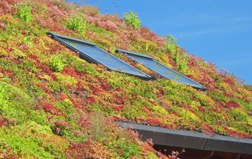 Lower Bearwood living roof systems