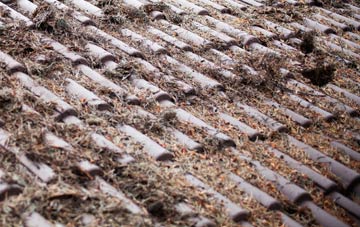 Lower Bearwood roof cleaning companies